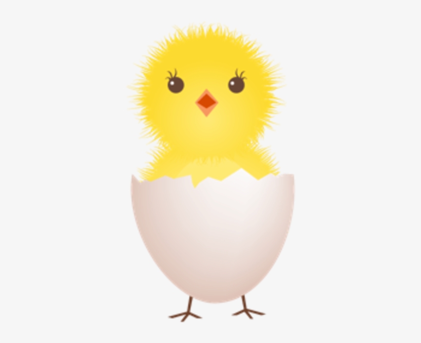 Chicken Egg Clipart - Clip Art Chicken In Egg, transparent png #602393