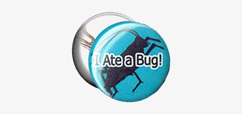 I Ate A Bug - Bouton : J'ai Mangé Un Bug, transparent png #602415