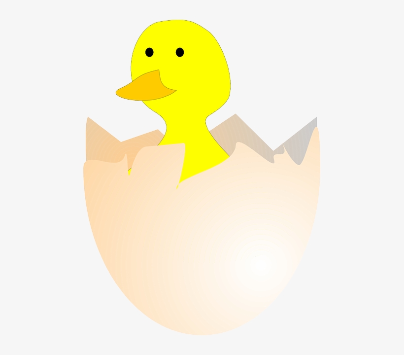 Chick, Hatching, Egg, Egg Shell, Broken, Open, Birth - Gambar Telur Ayam Menetas, transparent png #602544