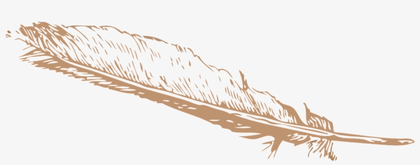 Png Freeuse Library Free Image On Pixabay Feather Pinion - Feather Clip Art, transparent png #602585