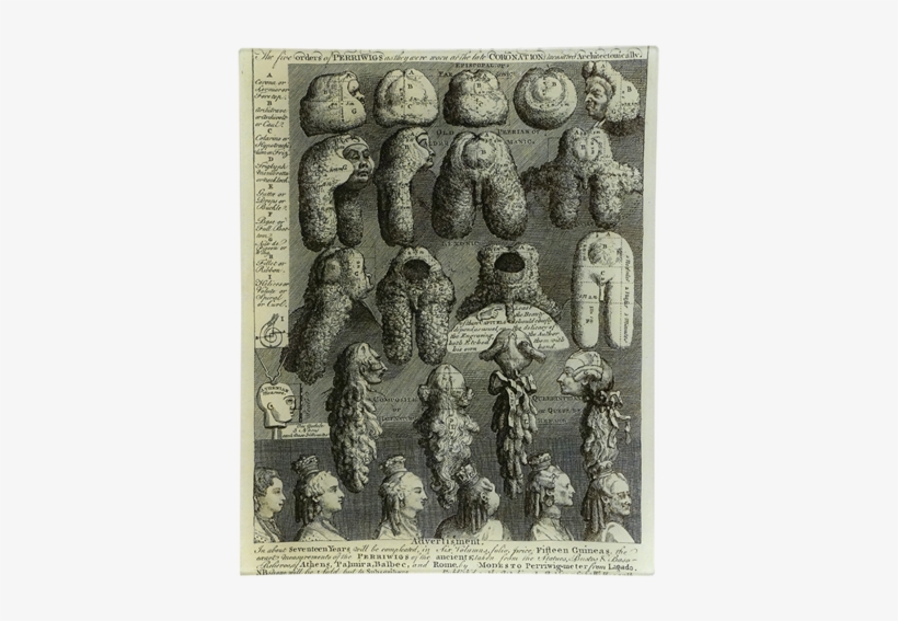 Wigs Wigs - Giclee Painting: Hogarth's The Five Orders Of Periwigs,, transparent png #604425