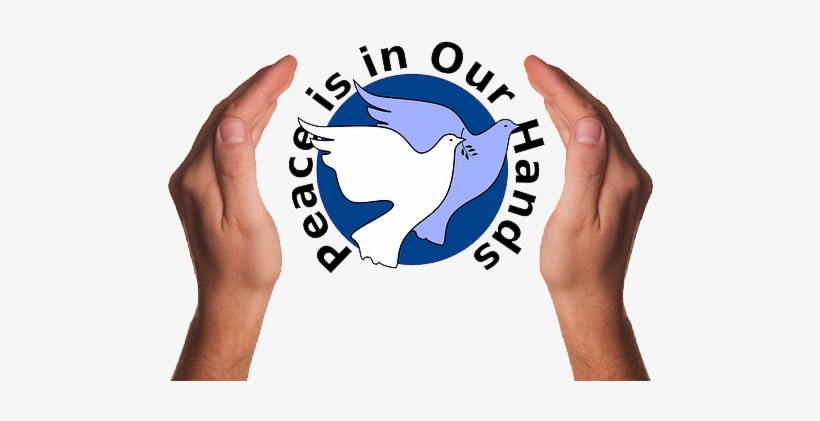00 Noon, In All Time Zones, All Peoples Are Encouraged - Hands With A Dove, transparent png #604686
