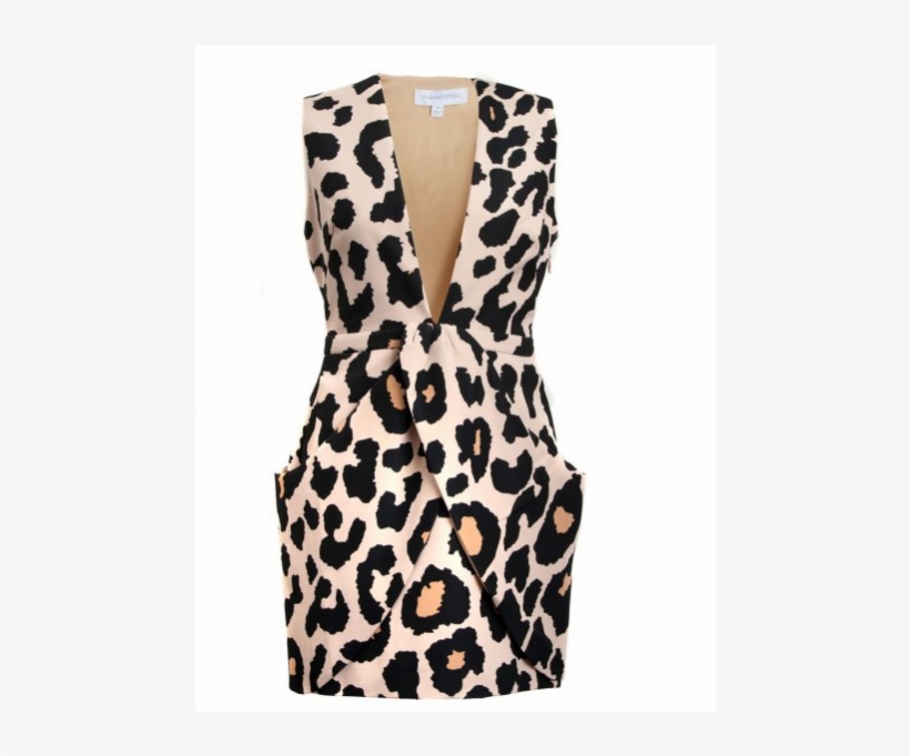 Alesha Dixon Dress Finders Keepers Paperships Dress - Animal Print Dress Png, transparent png #605160