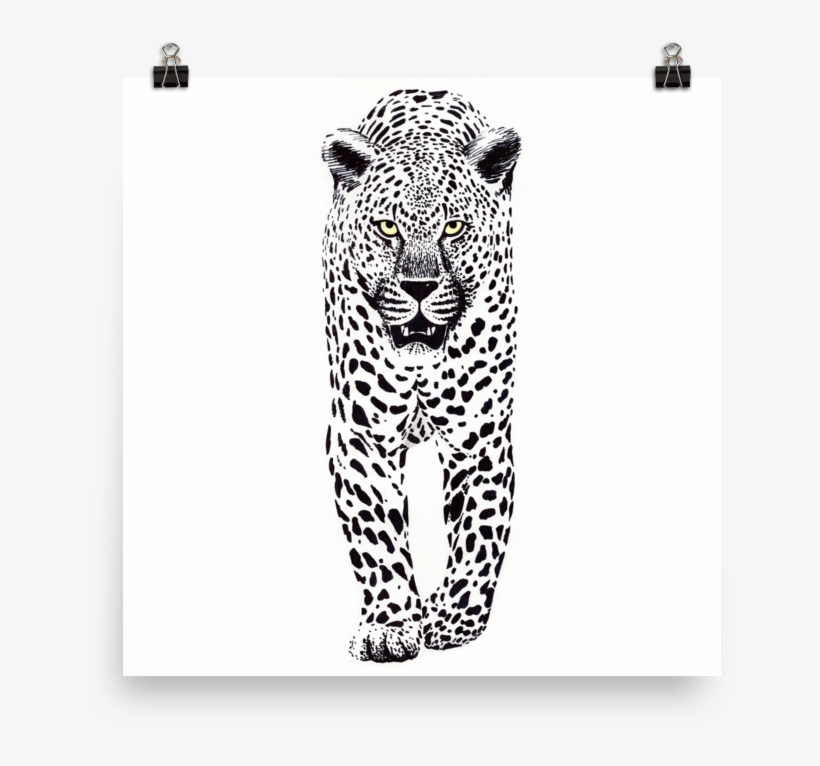Leopard Ink Black And White Wall Art - African Leopard, transparent png #605242