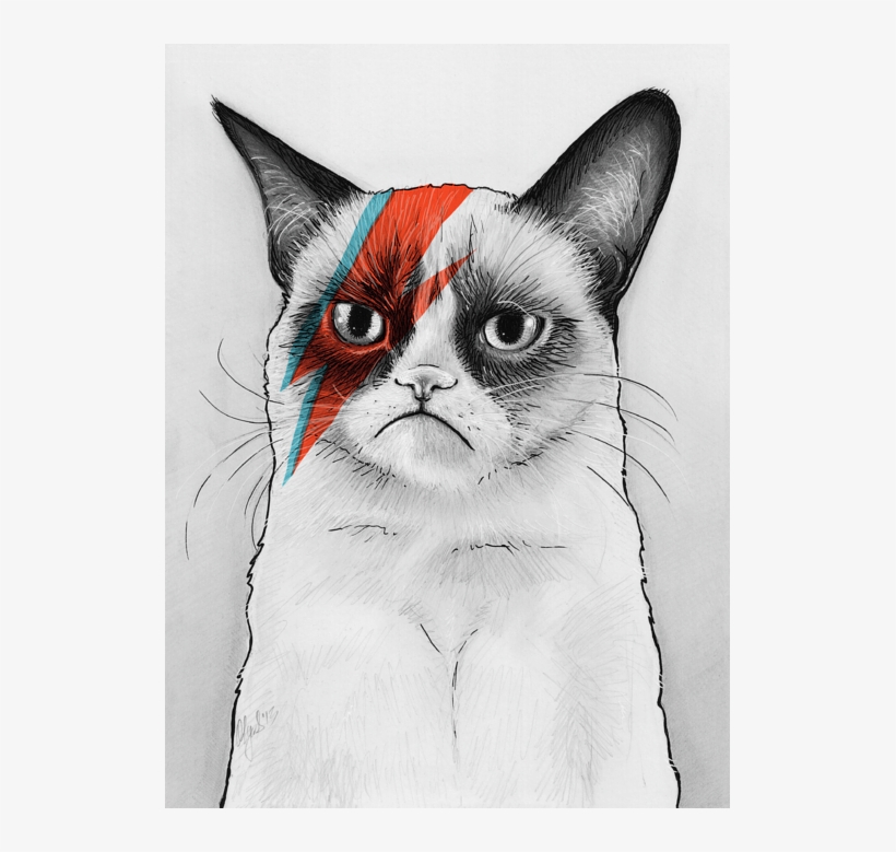 Click And Drag To Re-position The Image, If Desired - Grumpy Cat Bowie, transparent png #605420