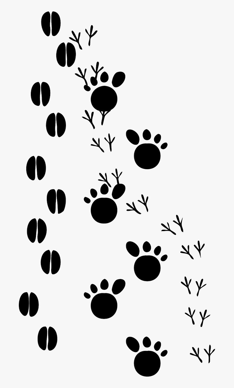 Animal Prints Clip Art At Clker - Animal Footprints Clip Art, transparent png #605485