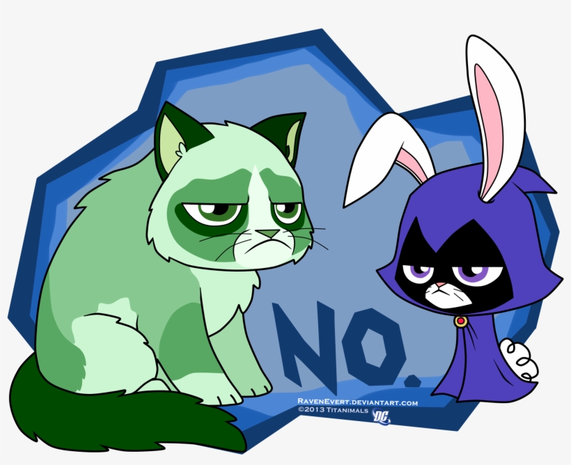Grumpy Cat - Image - Beast Boy, transparent png #605611