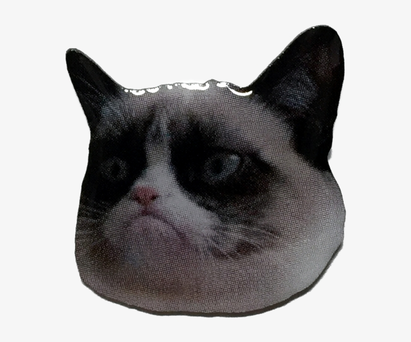 Grumpy Cat Pin - Cat No Gif, transparent png #605628