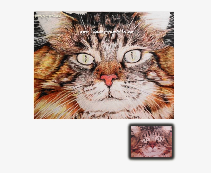 Custom Pet Portraits & Paintings From Photos - Drawing, transparent png #605697