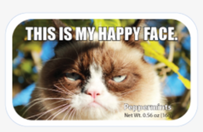$2 - - First Day Of Summer Grumpy Cat, transparent png #605737
