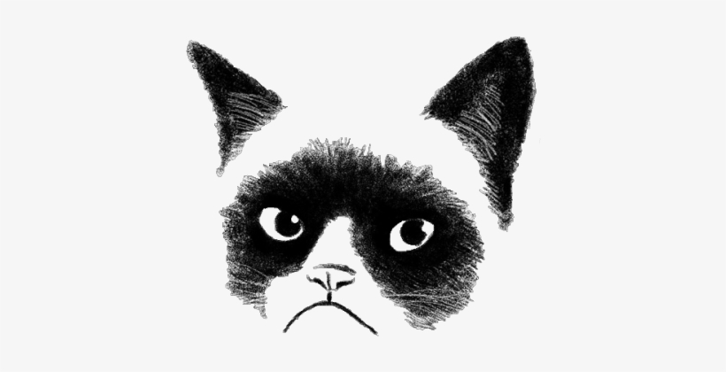 Transparent Grumpy Cat - Society6 By Tummeow, transparent png #605823