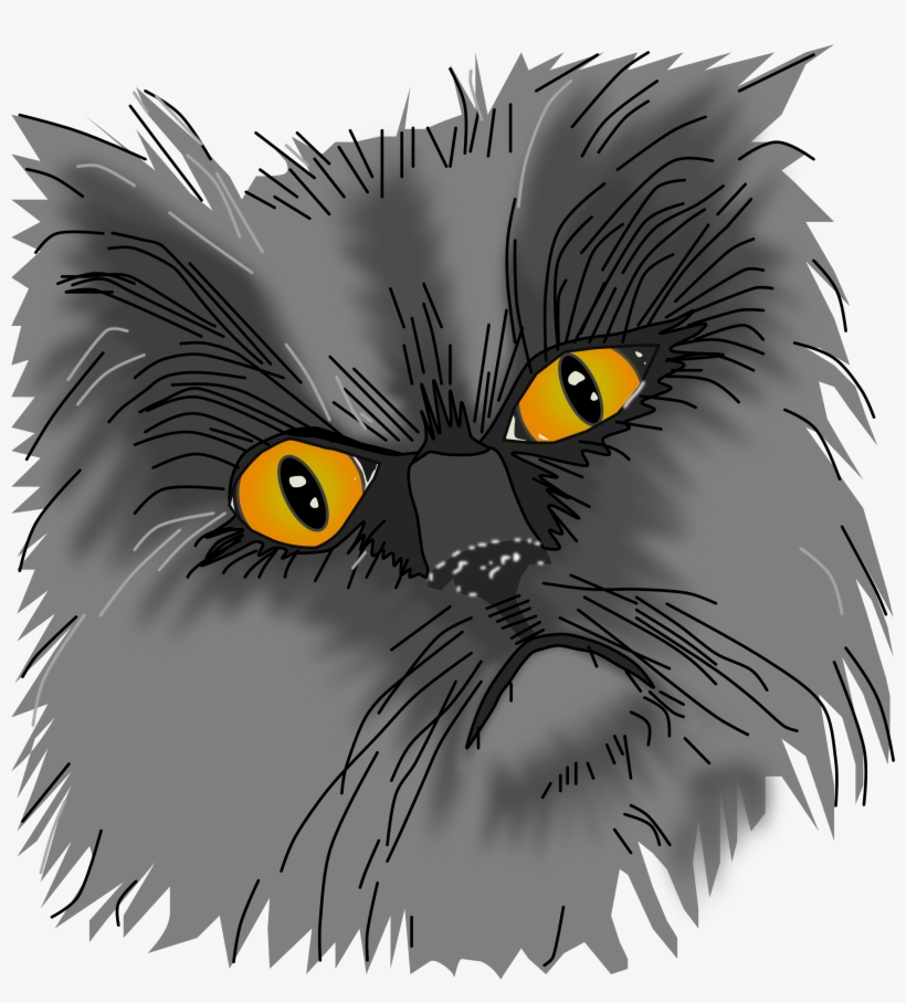 A Grumpy Cat Vector - Ein Mürrischer Katzenvektor Getränkeuntersetzer, transparent png #605841