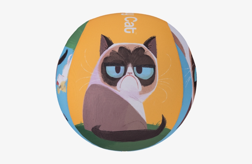 Owl, transparent png #605843
