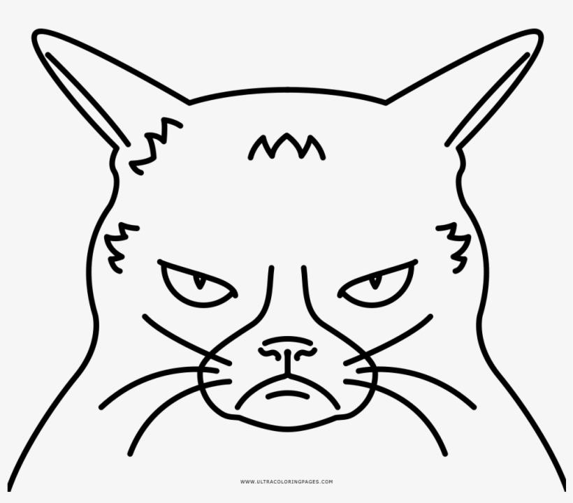 grumpy cat coloring sheet  grumpy cat