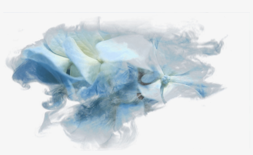 Watercolor Paint, transparent png #606254