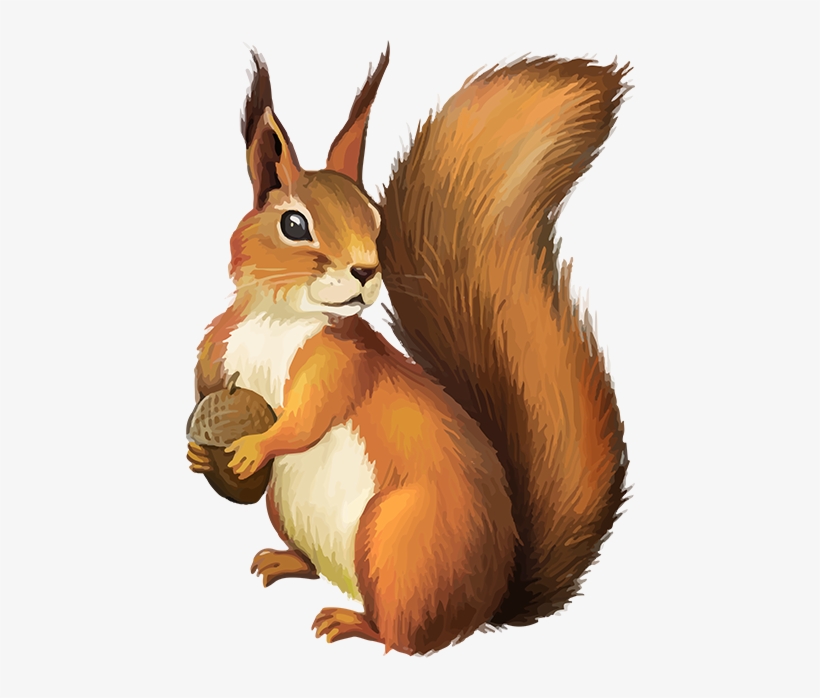 Tubes Écureuils - Funny Custom Ceramic Coffee Mugs Printed Squirrel Whisperer, transparent png #606258
