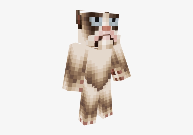 Tardpic Zpsbapng - Skin Minecraft Pe Kitty, transparent png #606328