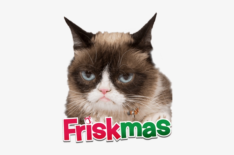 Com Grumpy-cat Utm Medium=socialorganic&utm Source=facebook&utm - Ragdoll, transparent png #606353