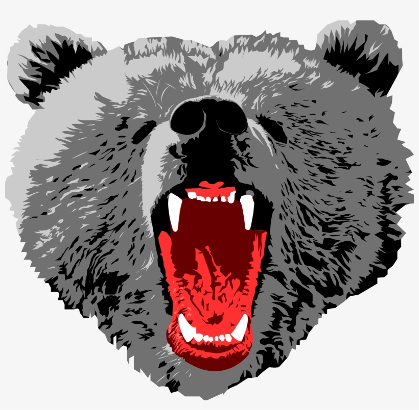 Bear Face - Brown Bear Face Transparent, transparent png #606516