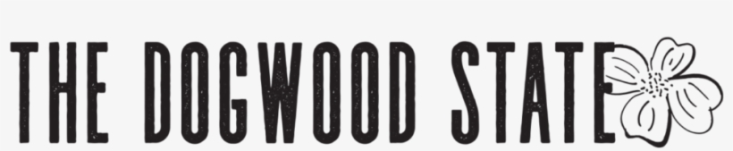 Graphics, transparent png #606755