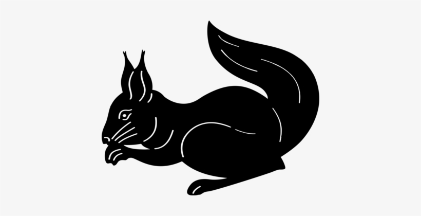 Cat The White Squirrel Animal Silhouette - Белка Силуэт Векторный, transparent png #606825