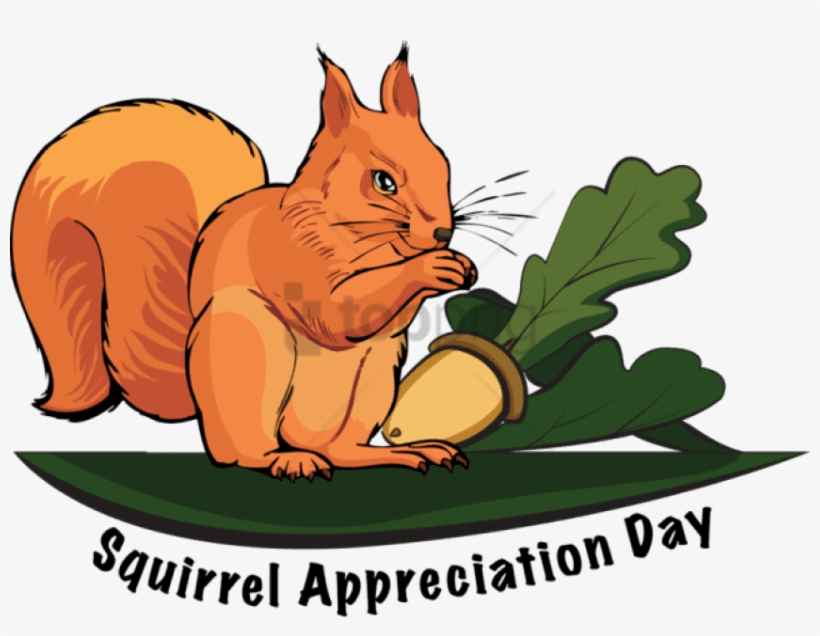 Information And Clip Art For Squirrel Appreciation - Squirrel Appreciation Day 2017, transparent png #606888