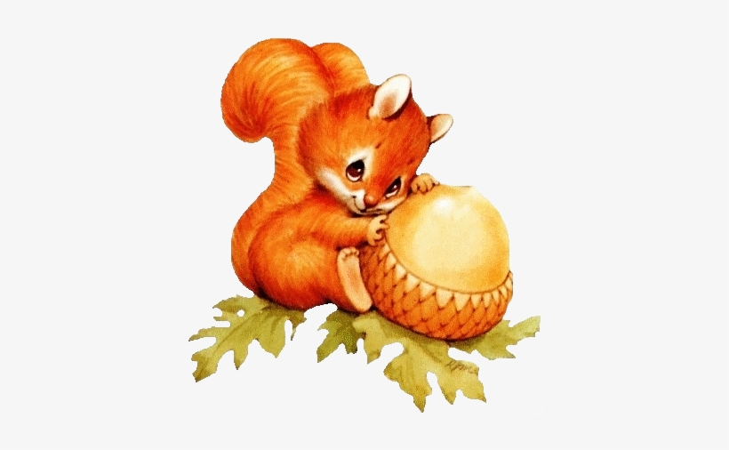 Animals Baby Squirrel, Cute Squirrel, Squirrels, Squirrel - Squirrel Clipart, transparent png #607273