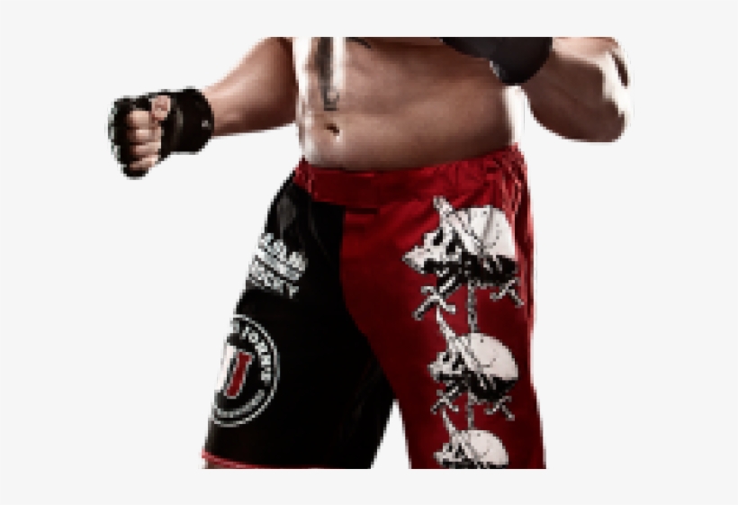 Brock Lesnar Png Transparent Images - Wwe Brock Lesnar Attire, transparent png #607333