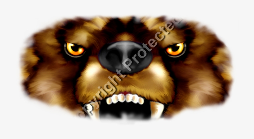 Bear Face - Lion, transparent png #607369