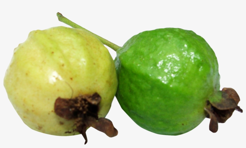 Guava Png, transparent png #607567