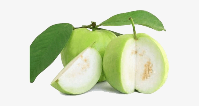 Fresh Guava From Thailand - Guava Transparent, transparent png #607666