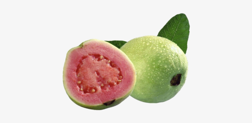 Png Download Fruit Transparent Guava - Imagenes De Guayaba Fruta - Free Transparent PNG Download - PNGkey Png Download Fruit Transparent Guava - Imagenes De Guayaba Fruta - Free Transparent PNG Download - PNGkey