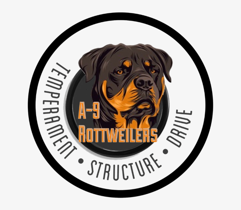 Rottweiler, transparent png #607846