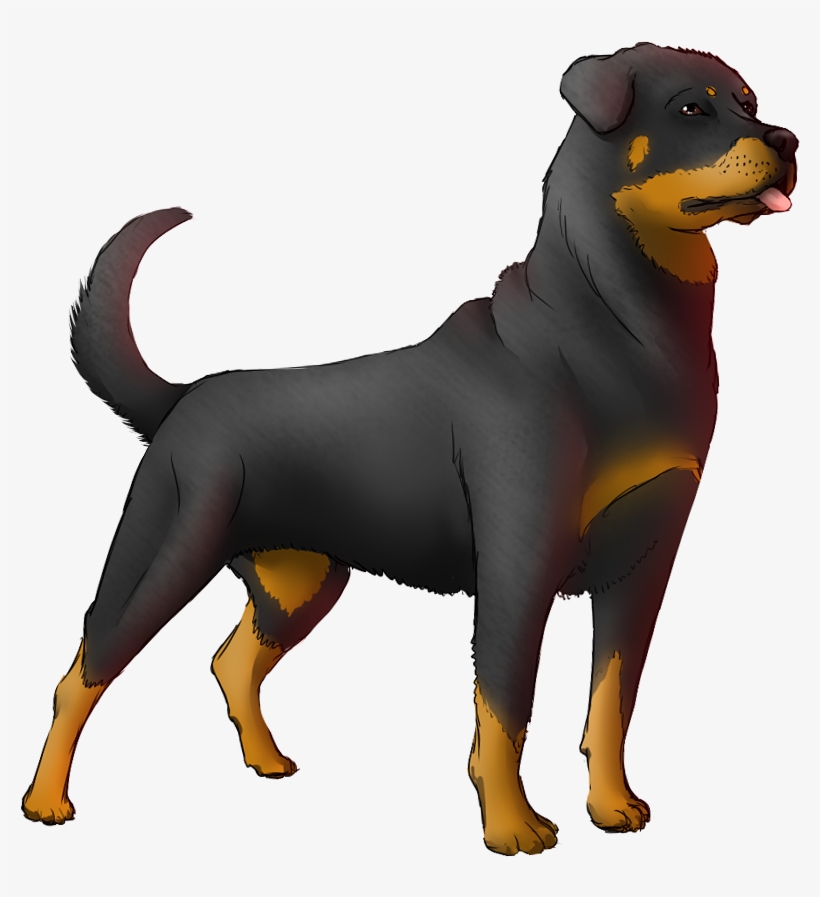 Rottweiler Animation By Aero Akatsuki-d51hjz6 - Rottweiler Animated Gif, transparent png #607871