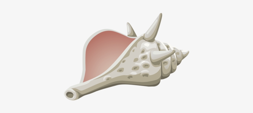 Computer Icons Conch Drawing Seashell - Clip Art, transparent png #607872