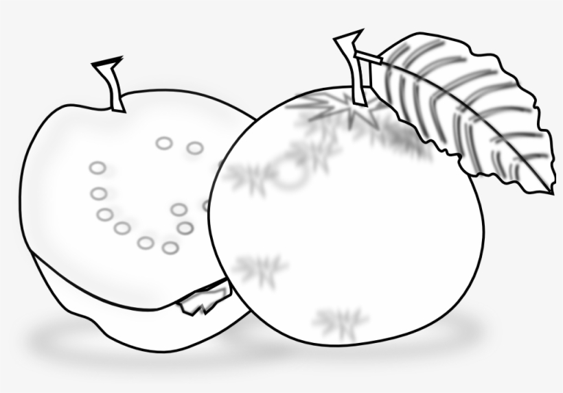 Guava Clipart Black And White - Guava Line Art, transparent png #608406
