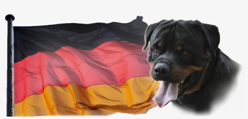 Maryland, transparent png #608581