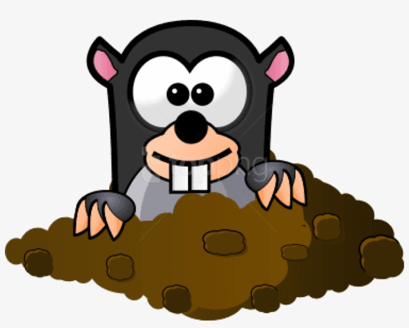 Picture Stock Mole Coming Out Of His Panda Free - Clipart Mole, transparent png #608582