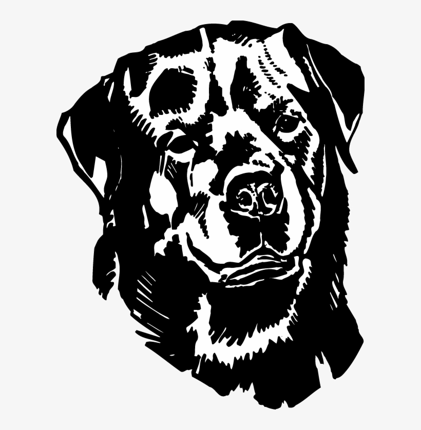 Rottweiler Head View Decal Clip Black And White Download - Rottweiler Danger Sign, transparent png #608723