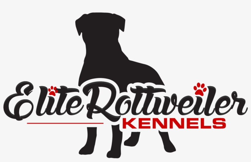 Elite Rottweiler Kennels - Boxer, transparent png #609404