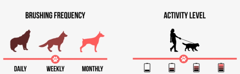 Rottweiler - Wolf Shape Vinyl Decal Outdoor Weatherproof Select, transparent png #609521