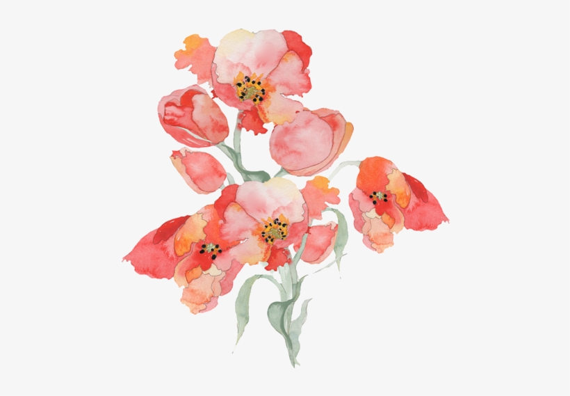 One X One Ll The Maze Runner - Red Flower Paint Png, transparent png #609558