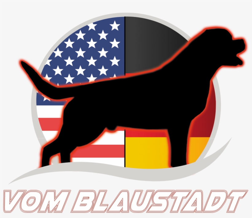 Vom Blaustadt Logo - Dog Catches Something, transparent png #609581