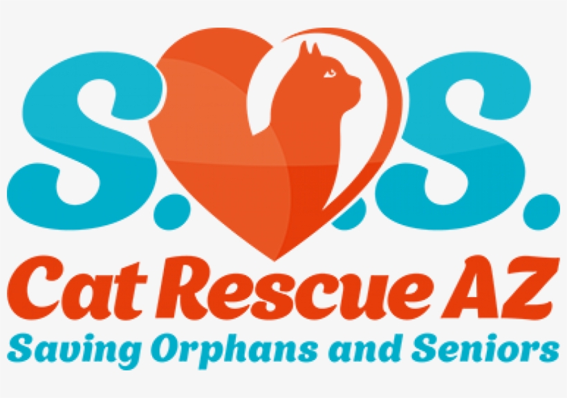 Sos Cat Rescue Az - Cat, transparent png #6000794