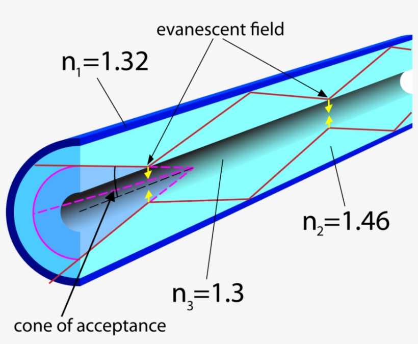 Figure 22 - - Fiber Optic Evanescent Wave Mode, transparent png #6001225