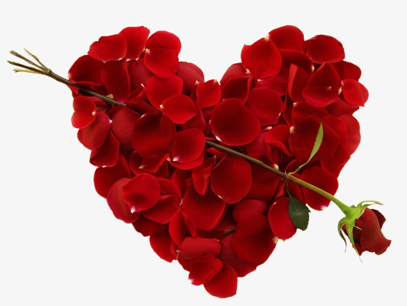 Heart Png Image Free Download Searchpng - Full Hearts Series Boxed Set #2 Ebook, transparent png #6001273