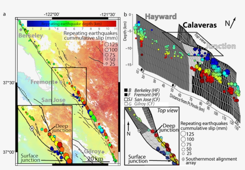 The Hayward And Calaveras Faults, Two Strike-slip Faults - San Andreas Fault Impact Zone, transparent png #6003082