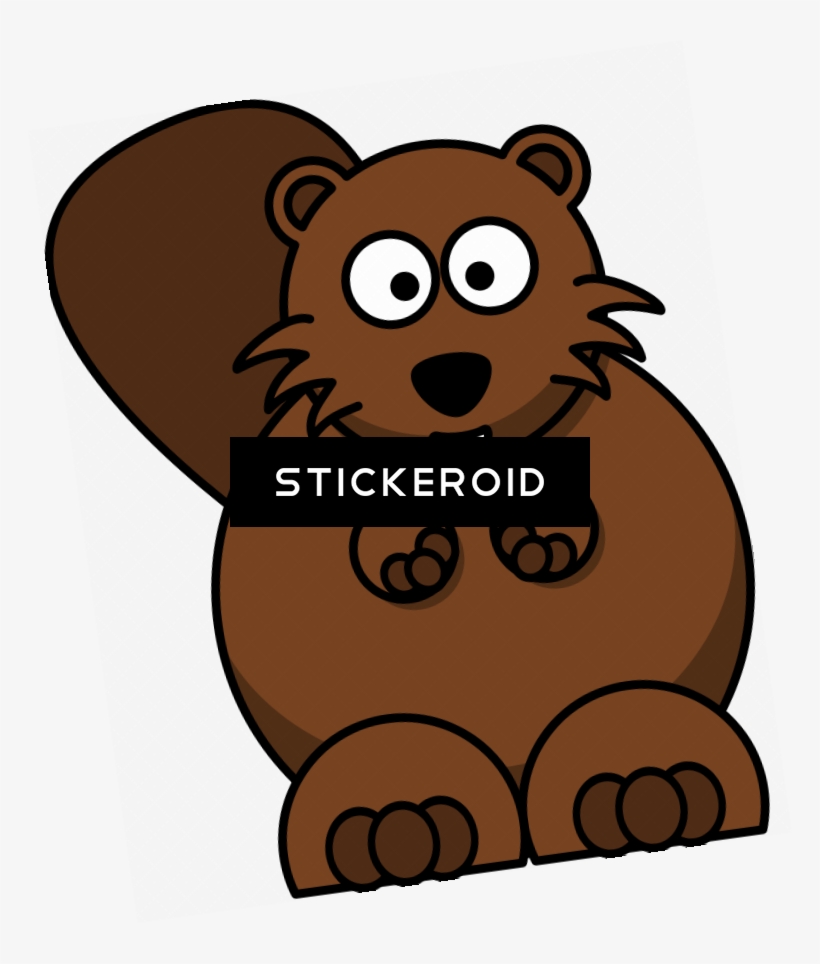 Beaver - Beaver Note Cards (pk Of 10), transparent png #6003306