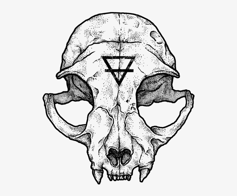 Cat Skull Ii, transparent png #6005440