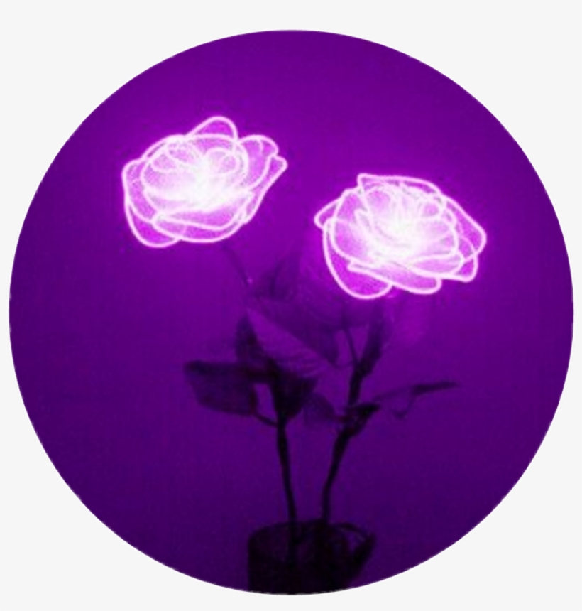 Circle, transparent png #6006355